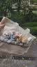 迪士尼（Disney）疯狂动物城女孩生日礼物玩偶单肩包托特包实用大容量朱迪尼克包包 实拍图