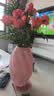 吕姆克玻璃花瓶客厅桌面摆件粉色麦芽糖520田园清新干花鲜花插花瓶0848 实拍图