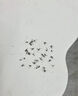 KOOGIS驱蚊虫室内神器家用除灭小爬虫飞虫蚊蝇克星植物香薰蟑螂魔盒2盒 实拍图