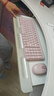 罗技（Logitech）MK251无线蓝牙键盘鼠标套装 办公商务笔记本电脑 数字键盘99键粉色键鼠套装（K251键盘+M196鼠标） 实拍图