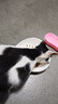 伟嘉猫粮 吐毛球成猫夹心粮海洋鱼1.4kg控制毛球全价粮全猫通用 实拍图