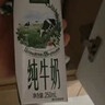 伊利【新鲜日期】金典纯牛奶整箱 200ml*12盒 3.6g乳蛋白端午礼盒 4月 实拍图