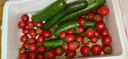 京鲜生 山东水果黄瓜＆圣女果组合 净重3斤 新鲜蔬菜 小番茄 源头直发 实拍图