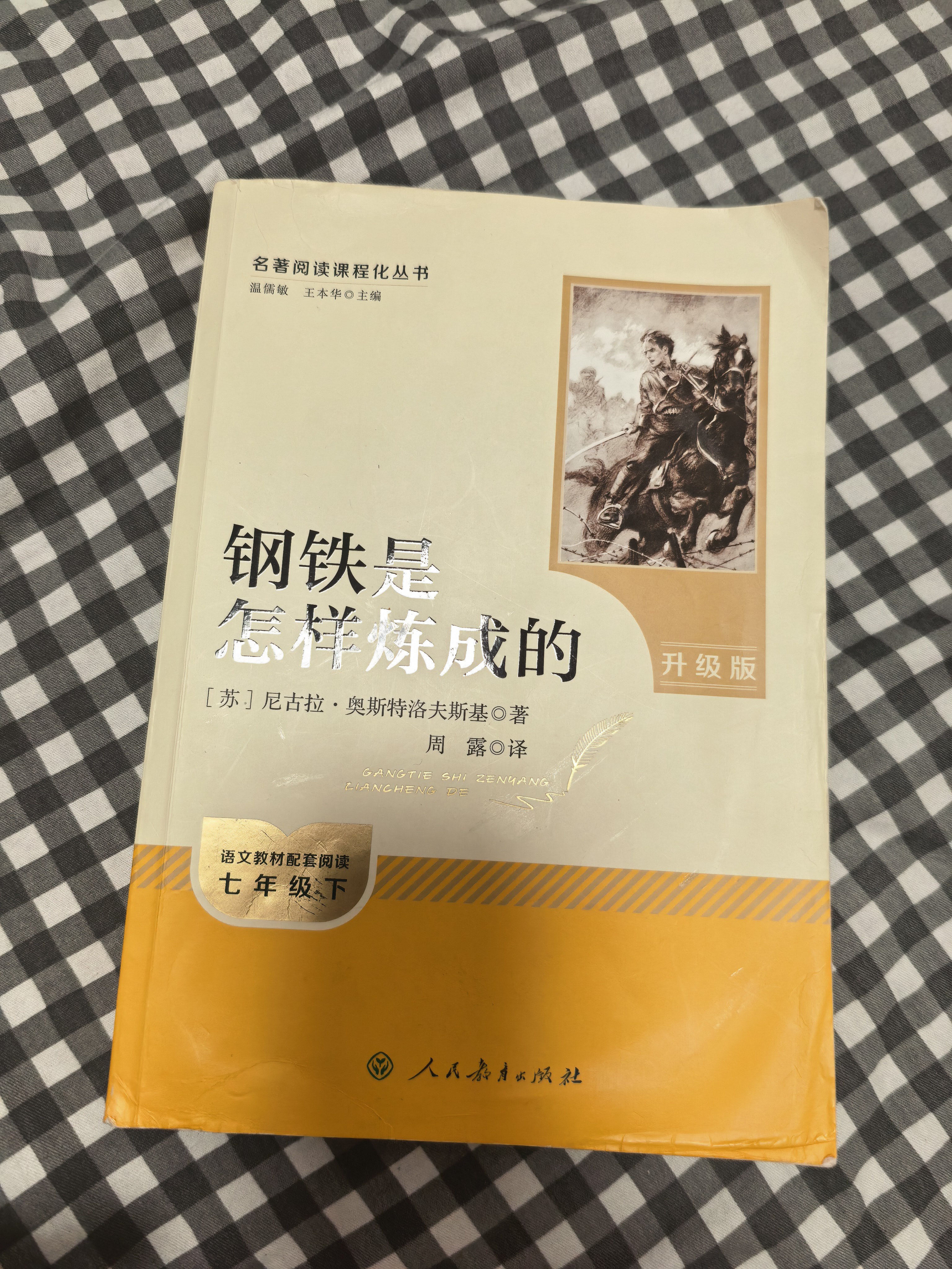 钢铁是怎样炼成的（升级版）人教版名著阅读课程化丛书 七年级下册 与25春新版初中语文教材配套使用（含微课，从教学角度讲解名著；含阅读笔记本，提供测评指导帮助提升整本书阅读能力） 实拍图