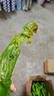 可口可乐（Coca-Cola）檀健次代言 雪碧Sprite柠檬味碳酸饮料 330ml*24摩登罐  实拍图