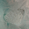 怡口净水（ECOWATER）官方正品直营软水盐适配中央软水系列纯度99.6%树脂还原不结桥保护涉水家电净水软化盐ESA-10KG 实拍图