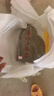 天然石敢当原石补角办公室靠山青石头路口奇石室内装饰摆件 现货选石，所选即所得，下单客服备注型号C 实拍图