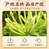 南京同仁堂金银花茶特级干中药材菊花去火官方正品下降火清热解毒凉茶叶泡水 实拍图