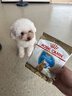 皇家狗粮 贵宾幼犬狗粮 犬粮 小型犬 APD33 通用粮 2-10月 50g 实拍图