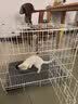 憨憨宠猫笼折叠猫笼子大号猫别墅加粗加密双层猫舍猫窝宠物猫咪用品家用 白色 600双层 实拍图