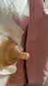 世喜乳盾双层乳盾新生儿乳头保护罩硅胶乳头贴内陷皲裂矫正防咬保护贴 双层乳盾-单只装 实拍图
