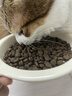 弗列加特猫粮 全价鲜肉天然粮 肠道养护配方 成猫猫粮鸡肉100g 实拍图
