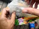 星宸花草博士草木灰种菜用的肥料瓜果蔬菜防虫害有机钾肥农家肥通用有机肥3斤 实拍图