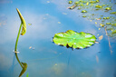 适马（SIGMA）16-300mm f3.5-6.7 DC OS ｜Contemporary 半画幅 远摄变焦镜头 旅游风光人像（索尼E卡口） 实拍图