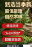 京东京造原味巴旦木仁400g每日坚果干果扁桃仁杏仁零食炒货京东自营无添加 实拍图