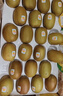 佳沛（zespri）新西兰金果巨大果22粒原箱单果146-175g 端午礼物水果礼盒 猕猴桃 实拍图