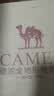 骆驼（CAMEL）女鞋新款复古运动鞋网面透气厚底增高休闲百搭软底减震老爹鞋子 实拍图