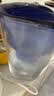 碧然德（BRITA） 过滤净水器 家用滤水壶 净水壶 海洋系列 3.5L蓝色 一壶3芯装 环保加固包装 实拍图