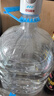 巴马丽琅饮用天然弱碱性矿泉水 11.3L*1桶装水 地理标志 长寿乡广西巴马 实拍图