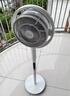 东芝（TOSHIBA）【价保618】【花信风】电风扇空气循环扇家用落地扇电风扇卧室轻音客厅风扇F-DSC800XCN(W) 实拍图