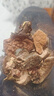 半山农 红景天片80g 西藏高原红景天中药材原料高反缺氧 高原茶安养生 实拍图