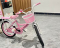 紫榕 儿童自行车女孩单车3-8岁公主款脚踏车男女宝宝小孩童车 公主粉【京仓直发】闪轮护具套装 14寸 适合90-110cm 实拍图