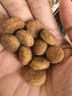 皇家狗粮老年成犬狗粮犬粮宠物大型犬SGR26全价犬粮≥5岁15KG 实拍图