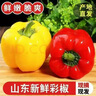彩椒五彩甜椒水果圆椒不辣太空椒灯笼椒新鲜可即食减脂蔬菜 山东彩椒红+黄3斤净重2.5斤 实拍图