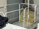 嘉际狗围栏室内宠物围栏狗笼子狗栅栏狗笼小中大型犬猫围栏狗笼折叠 120*60*60cm【适合中小型犬】 实拍图