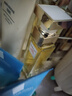 伊丽莎白雅顿第五大道香水75ml 持久留香自然清新香氛生日礼物送朋友 实拍图