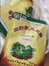 田野泉大酱大豆酱90g东北特产农家豆瓣酱家用调味酱蘸酱袋装 10袋 实拍图