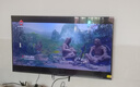 TCL电视雷鸟经济款 【伸缩挂架送装一体】 55英寸雀4 144Hz  2+32GB 平板电视机55F270C-JN 实拍图