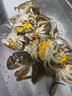 【活蟹】湖鲜阳澄 大闸蟹 去绳足重 2.3-2.6两 8只 鲜活六月黄现货螃蟹端午节礼盒礼品 实拍图