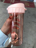 特百惠（Tupperware）茶韵500ml塑料杯男女士学生运动水杯子大容量泡茶杯 粉色 实拍图
