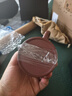 百年利永宜兴紫砂壶纯全手工原矿紫泥泡茶壶功夫茶具竹节汉铎一壶两杯套装 竹节汉铎 240ml 原矿紫泥 实拍图