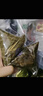 五芳斋粽子  中华老字号嘉兴特产粽早餐零食 栗子猪肉粽100克*2只 实拍图