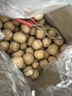 舌里原味薄皮核桃3斤装 新疆特产休闲零食坚果炒货送夹子1500g/箱 实拍图