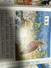 点读版山海经幼儿美绘本全6册 3-6岁连环画彩绘注音版大字注音幼小衔接有声读物经典名著神话儿童绘本课外阅读书籍(支持小猴皮皮点读笔) 早教发声书 点读书 实拍图