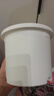 爱丽思（IRIS）Deepot花盆加厚树脂控根圆口绿萝绣球月季多肉发财树塑料加仑花盆 10号白色(口径约32.8cm)约15L 实拍图