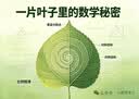 斗半匠口算天天练二年级下册口算大通关数学口算题卡10000道口算题每天100道九九乘法除法计时测评口算练习册 实拍图