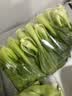 【24小时鲜】油菜苗250g(长度≤17cm) 实拍图
