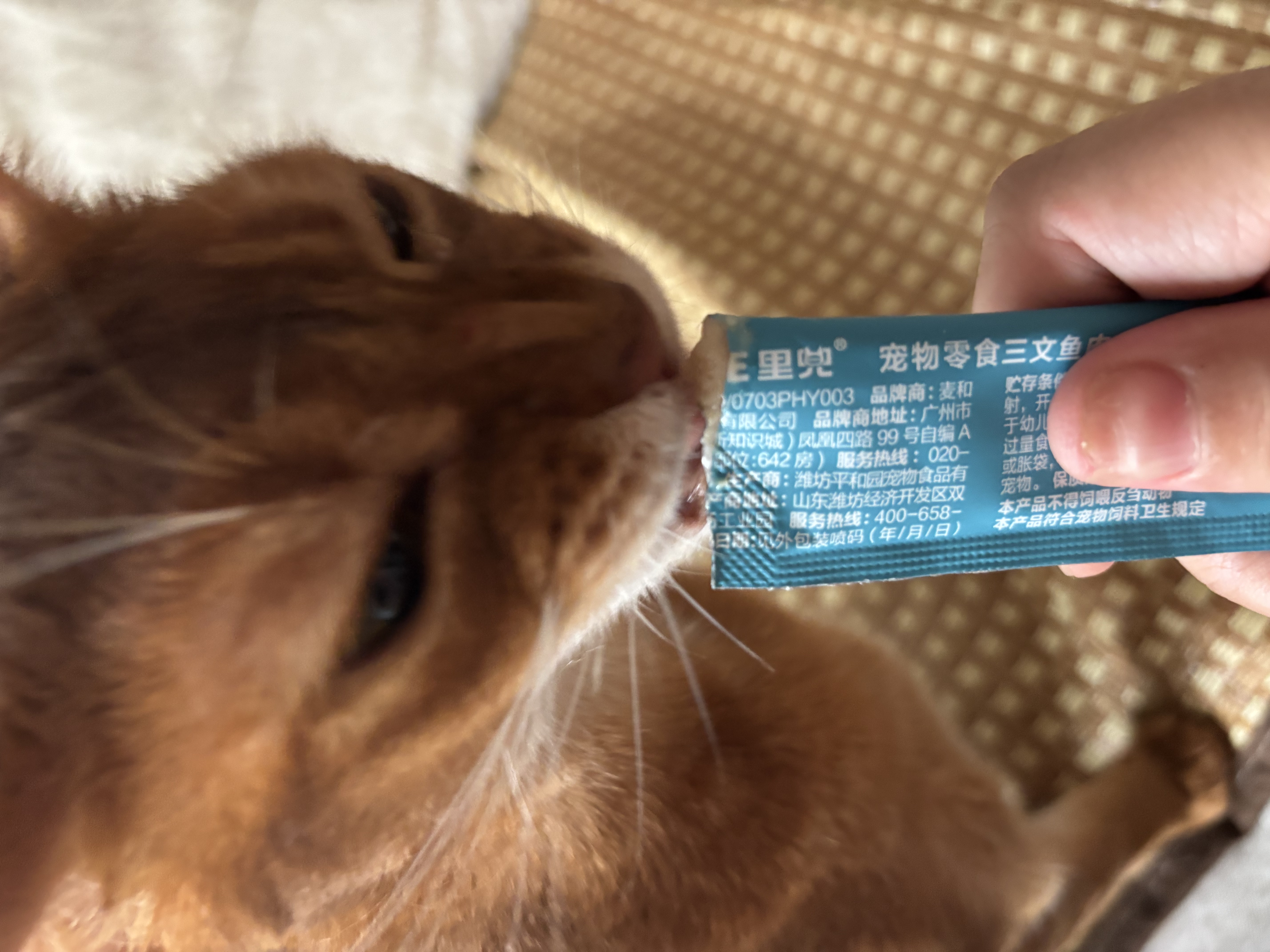lorde里兜猫条猫零食营养补水猫草湿猫粮混合口味10gx80条 实拍图