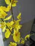 爱已装糖仿真花绿植假花花瓶插花diy花束塑料花客厅摆件装饰花跳舞兰1束 实拍图