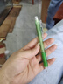 斑马牌(ZEBRA)活动铅笔 0.5mm彩色杆活芯铅笔 学生用自动铅笔 MN5 绿色杆 实拍图