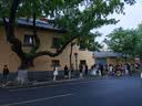 佳能（Canon）EF 50mm f/1.8 STM 标准定焦镜头 全画幅大光圈 单反相机镜头 小痰盂三代 人像定焦镜头 实拍图