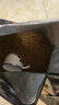 亿迪 猫粮幼猫成猫10斤全价国产布偶流浪猫蓝猫英短全阶段专用 实拍图