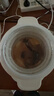 北鼎（Buydeem）养生壶大容量煮茶器炖煮一体烧水壶0胶水玻璃养生壶花茶壶燕窝炖盅煎药壶送礼好物 【单壶+炖盅套件】K159T|燕窝汤粥 1.5L 实拍图