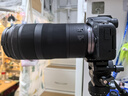 佳能（Canon）RF100-400mm F5.6-8 IS USM 全画幅微单镜头 远摄变焦镜头 轻量防抖 超远长焦 晒单送赠品 实拍图