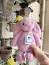 Jellycat害羞乳白色邦尼兔动物毛绒玩偶安抚玩偶娃娃送礼生日礼物 害羞粉色郁金香邦尼兔 Medium 实拍图