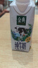 伊利【新鲜日期】金典纯牛奶整箱 200ml*12盒 3.6g乳蛋白端午礼盒 3月 实拍图
